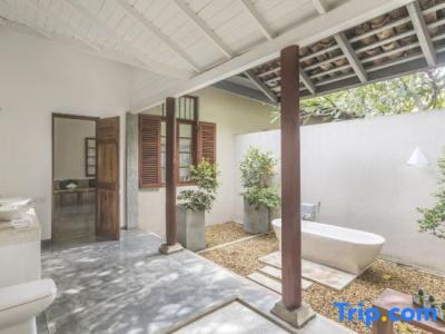 The Frangipani Tree by Edwards Collection - 36