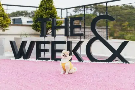 The Week & Resort - 38