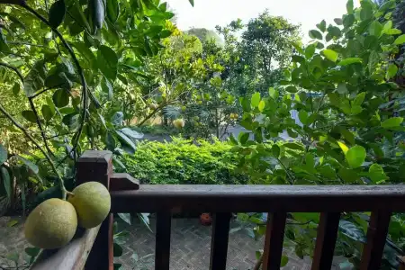 LittleTamCoc Boutique villa Ninh Binh - 38