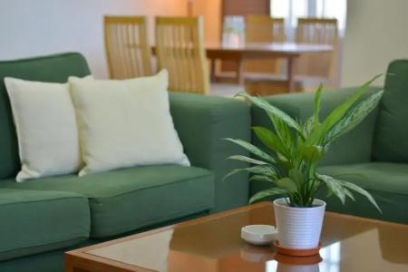 The Maple Suite - 9