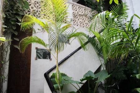 Malindi Guest House - 11