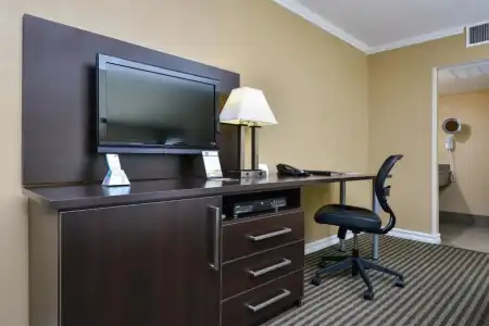 Royal Sun & Suites - 45