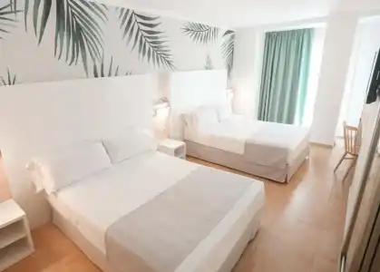 Alegria Florida - 44