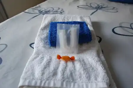 La Rosa Scarlatta Broseta - 34