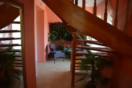 Kapucino - 20
