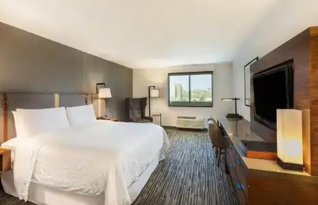 Four Points by Sheraton Los Angeles Westside - 48