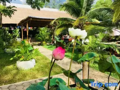 Sahaa Beach Resort - 115