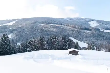 Alpenkrone - 5