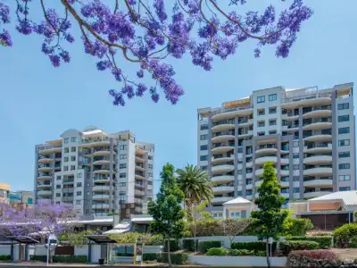 The Oasis Apartments - 24