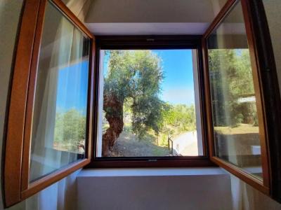 Delle More - 34