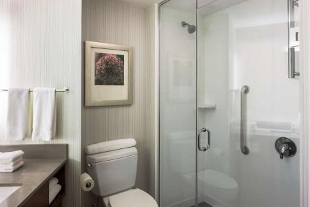 Hilton Garden Inn Long Island City New York - 63