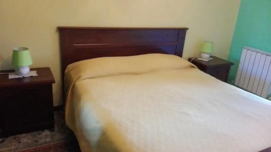 B&B Agave - 31