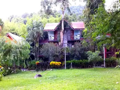 Tree Top River Huts - 20