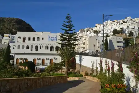 Simón - 15
