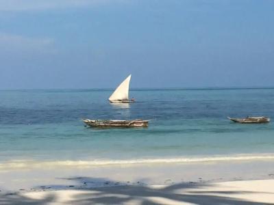 Simba Beach Zanzibar - 12