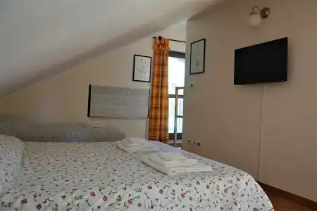 Betulla dell'Etna - 12
