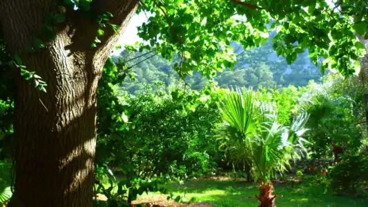 Simge Pension - 6