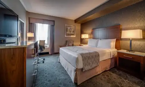 Monte Carlo Inn Toronto - Markham - 27