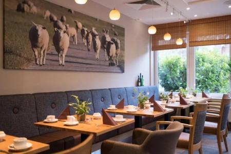 BE Bio be Active - Nähe Historischer Hafen - 23