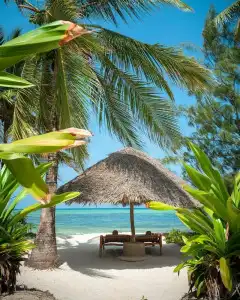 Xanadu Luxury Villas & Retreat Zanzibar - 85