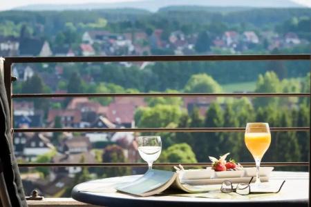 Ahorn Harz Braunlage - 9