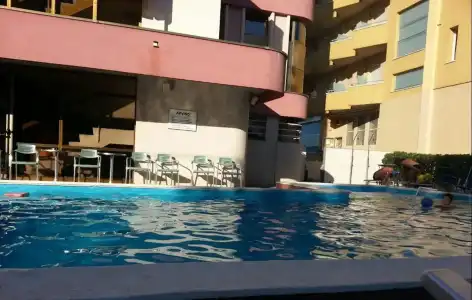 Flamingo - 9