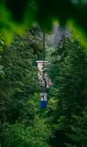 Nunisi Forest & SPA - 19
