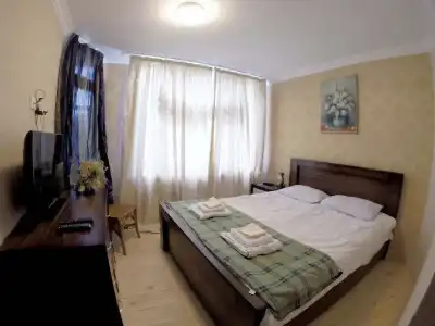 ArtVilla Bakuriani - 2