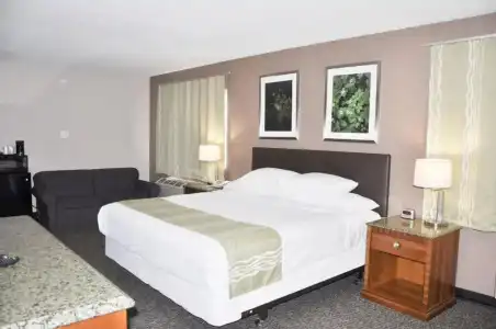 Bison Inn & Suites on University - 26