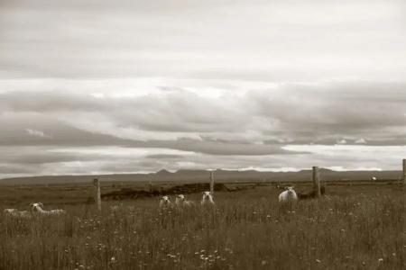 Dettifoss Guesthouse - 24