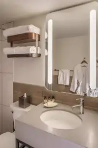 The Wildbirch - JDV by Hyatt - 34