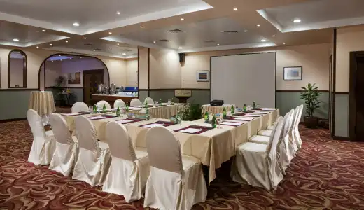 Occidental Sharjah Grand - 14