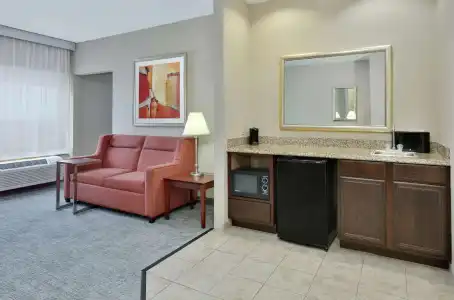 Hampton Inn & Suites Abilene I-20 - 81