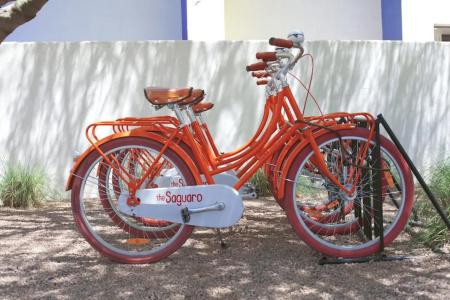 Solaya - 33
