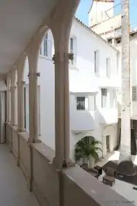 Puro Oasis Urban - 0
