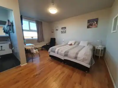 Skálatjörn Guesthouse - 78
