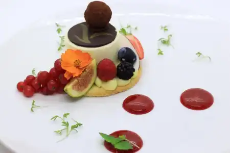 ADLER MERYEM wellness - 30