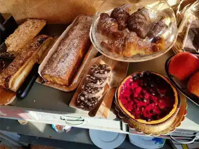 Aurelia Garden Gold Bed & Breakfast - 9