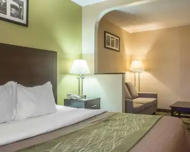 Comfort & Suites - 5
