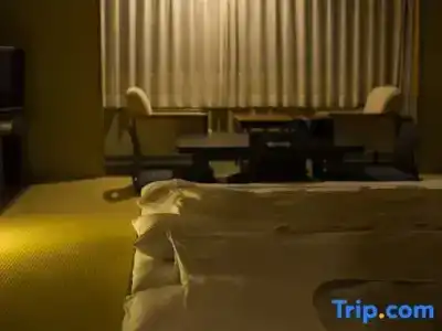 Mercure Kyoto Miyazu Resort & Spa - 89