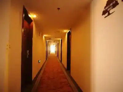 Greentree Inn Jiangsu Suzhou Xiangcheng Huolidao Isla - 10