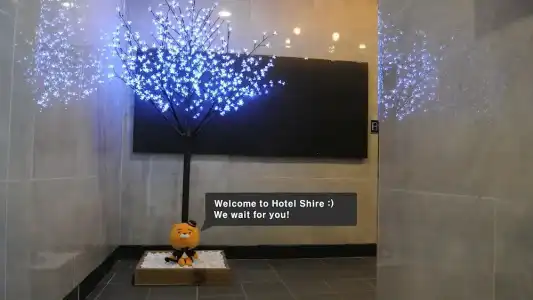 Shire - 12