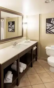 Holiday Inn Express Vancouver-Metrotown (Burnaby) by IHG - 65