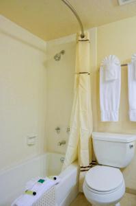 Castle Inn and Suites - 9