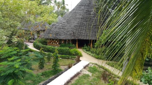 Zanzi Resort Private Paradise - 18