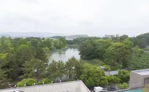 MINAMISENRI Crystal - 9