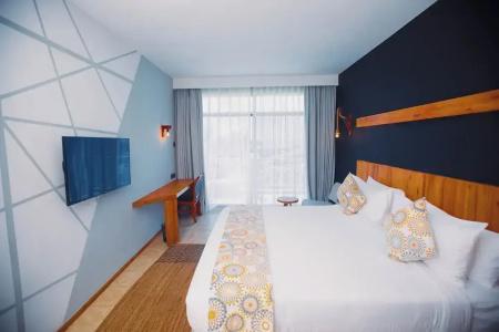 Giraffe Ocean View - 19