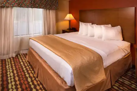 Best Western Ambassador Inn & Suites - 5