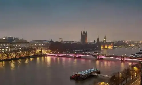 Hyatt Regency London Albert Embankment - 20