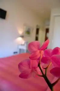 Relax - 49